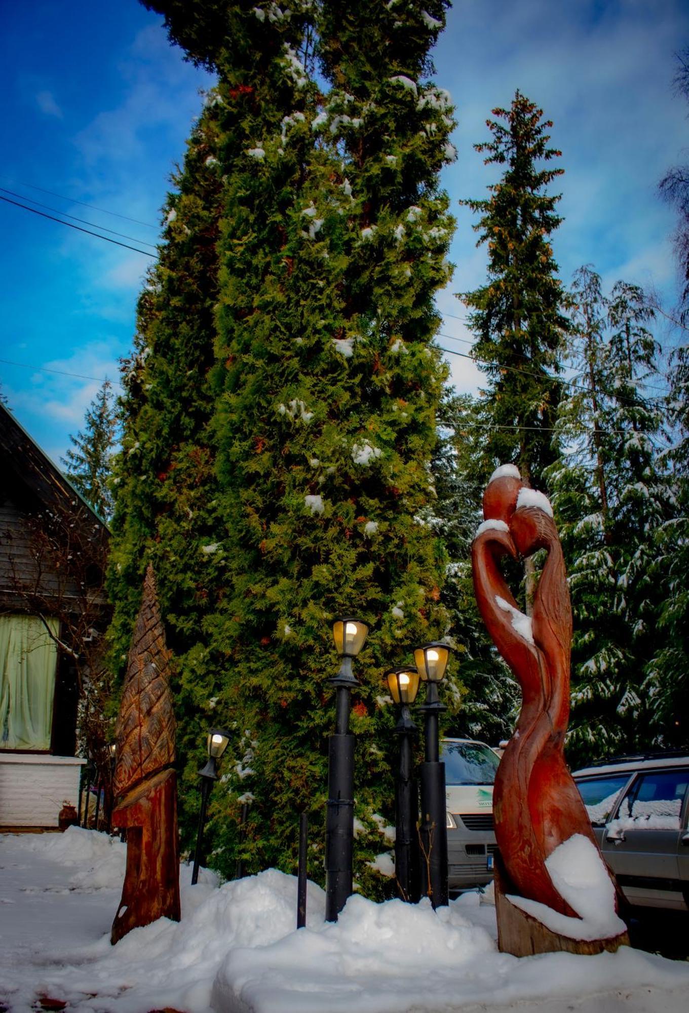 Breza Hotel Borovets Eksteriør bilde